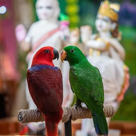 Hindu Monastery - Shree Peetha Nilaya Ashram Szálloda 3*