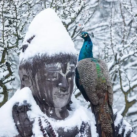 Hindu Monastery - Shree Peetha Nilaya Ashram 3*