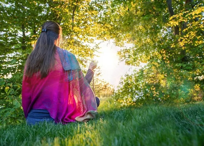 Hindu Monastery - Shree Peetha Nilaya Ashram Hotel 3*