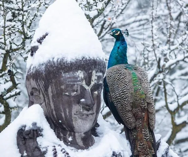 Hindu Monastery - Shree Peetha Nilaya Ashram 3*